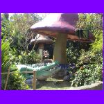 Rain Forest Cafe.jpg